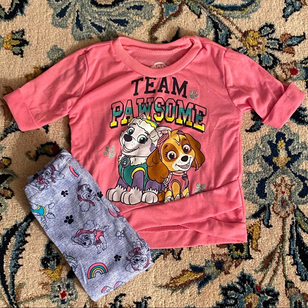 ⭐️HP⭐️🚨Paw Patrol🚨matching set